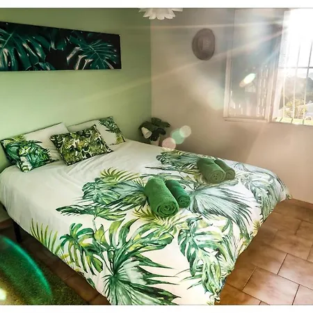 شقة Casa Palmera Cozy & Modern Seaview Eco